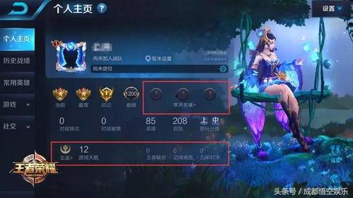 王者宋文爆料视频,揭秘游戏幕后故事与精彩瞬间  第2张