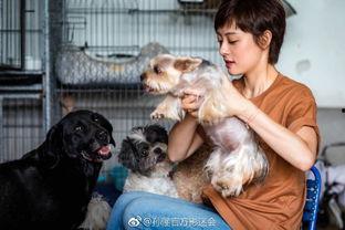 娱乐圈爆料流浪狗被抓了,流浪狗被抓，背后真相引人关注  第2张